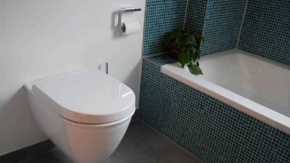 Drei Wege bei Stromausfall die Toilette benutzen zu können